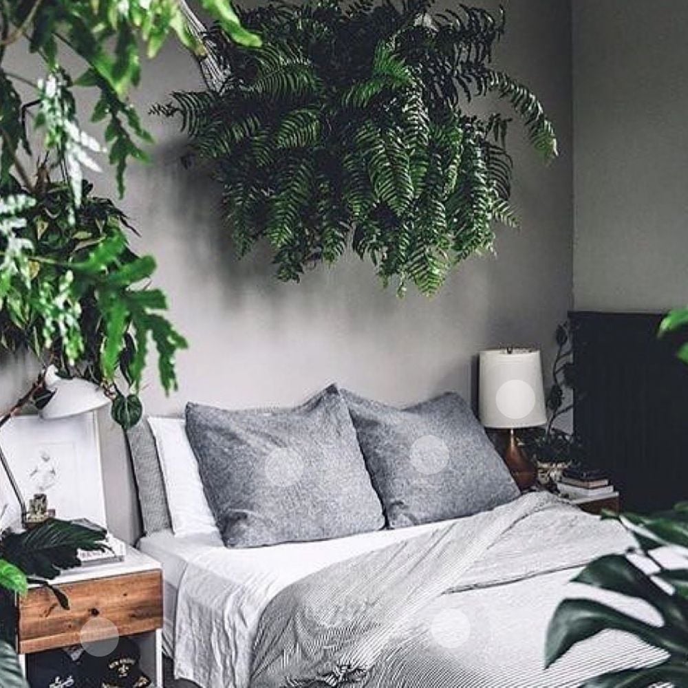 8 Tips Dekorasi Kamar  Aesthetic  Low Budget yang 