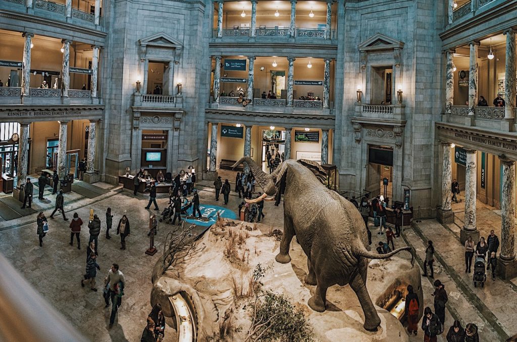 Smithsonian national museum of natural history