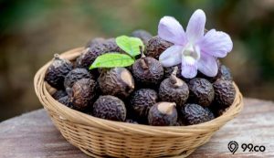 manfaat buah lerak