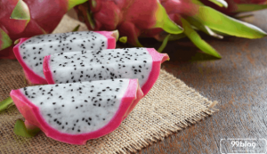 budidaya buah naga