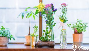 Percantik Rumahmu dengan 7 Bunga Hiasan Rumah dari Plastik Ini. Dijamin Awet!