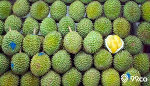 cara memilih durian
