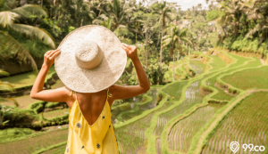 desa wisata terbaik indonesia