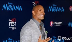 the rock
