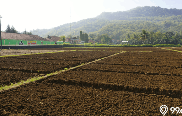 hak pengelolaan tanah