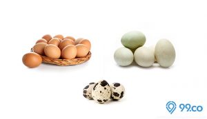 harga telur
