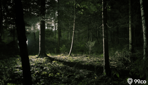 hutan angker