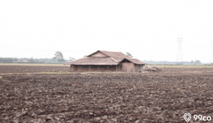6 Potret Rumah Gubuk Sederhana yang Terbuat dari Bambu hingga Jerami