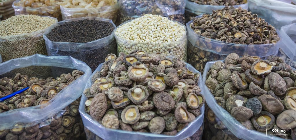 cara budidaya jamur tiram