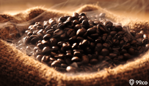 jenis biji kopi