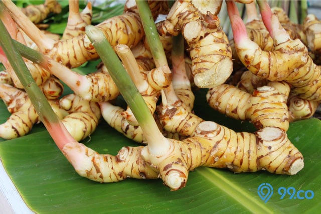 14 Bumbu Dapur Tradisional yang Wajib Distok di Rumah. Ada Semua?