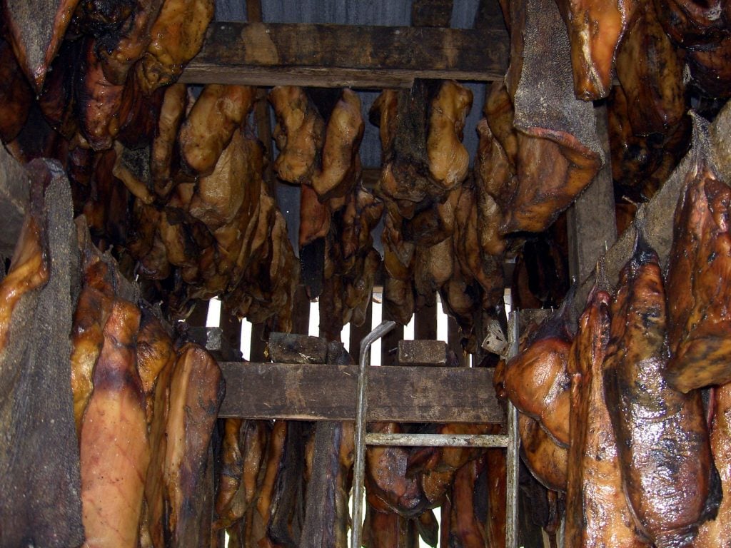 kuliner terjijik di dunia