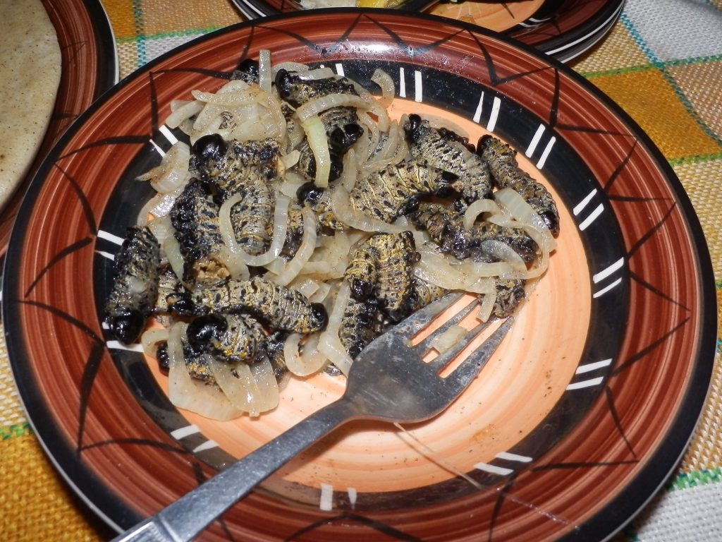 kuliner terjijik di dunia