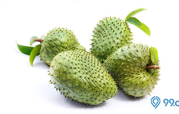 manfaat daun sirsak