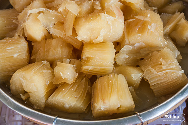 11 Manfaat Singkong Bagi Kesehatan Tubuh Sampai Anti Kanker 11 Manfaat Singkong Bagi Kesehatan Tubuh Sampai Anti Kanker