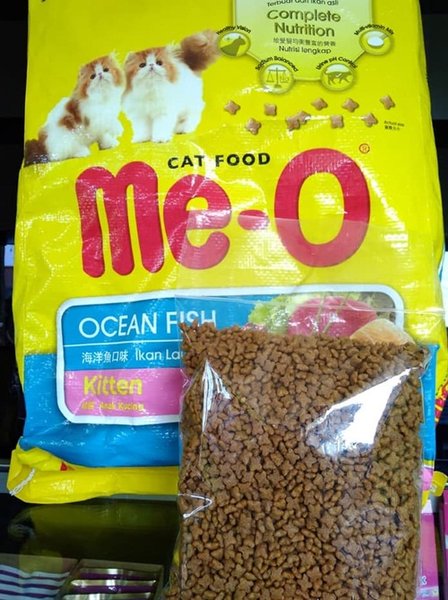 8 Rekomendasi Makanan Kucing Terbaik 2021  Disertai Tips Memilih