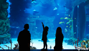 museum pemandangan laut