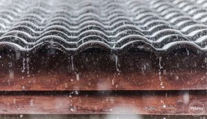 tips membuat penampungan air hujan