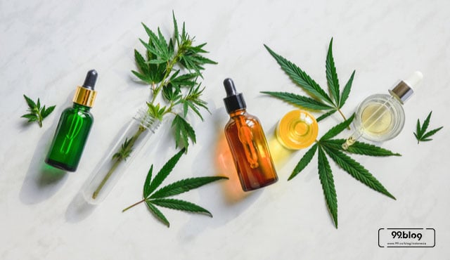 daun ganja header
