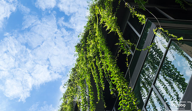 roof garden
