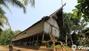 rumah tradisional suku dayak kalimantan