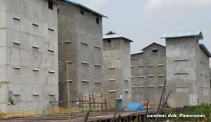 rumah walet