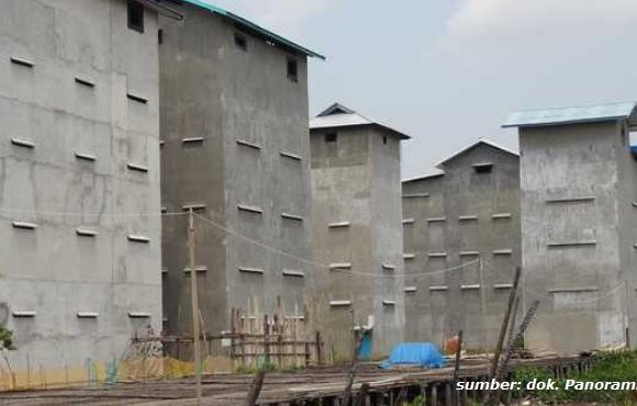 rumah walet