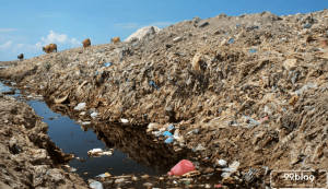 limbah plastik impor