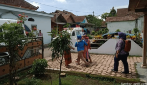 orang tua gila
