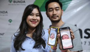 artis indonesia