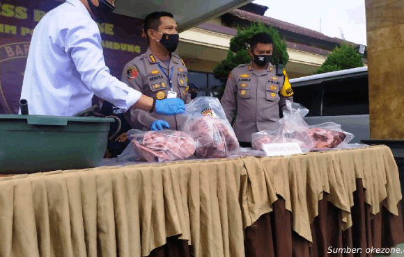 daging sapi