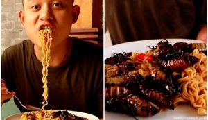 mie instan topping kecoak