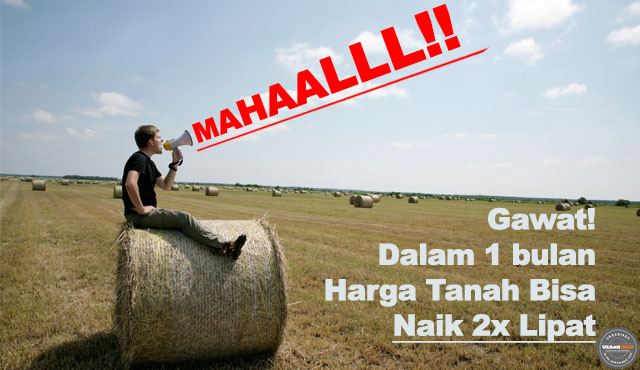 Harga Tanah