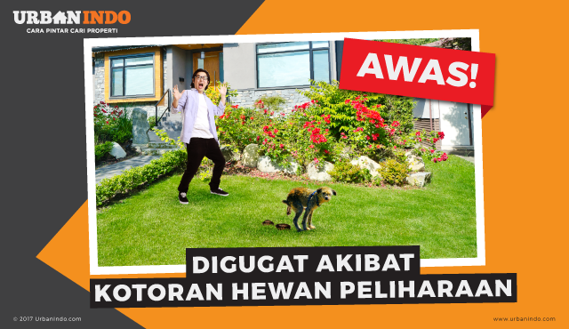 Awas Bisa Digugat Akibat Kotoran Hewan Peliharaan