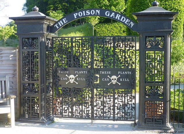 Tema Taman