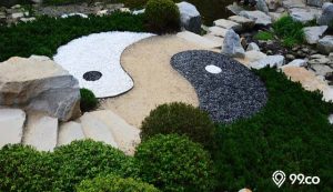 yin dan yang